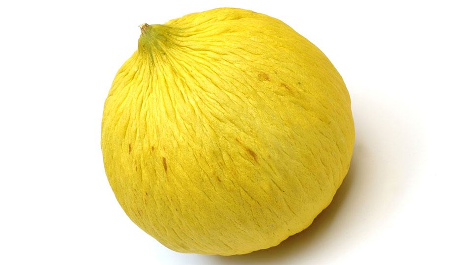 Casaba-Melons-Optimized