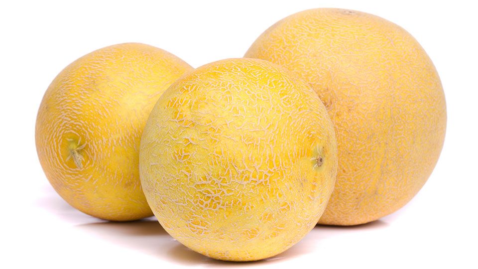 Honeydew-Melons-Optimized