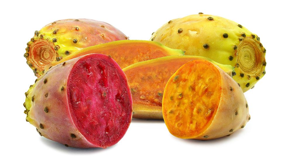 Prickly-Pears-Optimized