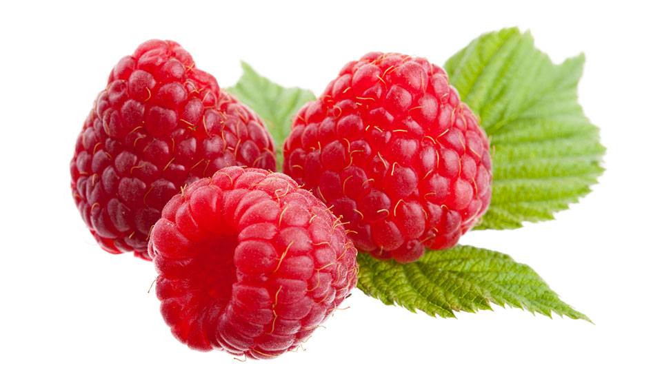 Raspberries-Optimized
