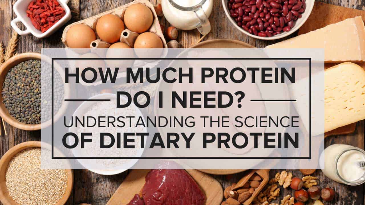 How Much Protein Do I Need? Understanding the Science of Dietary Protein