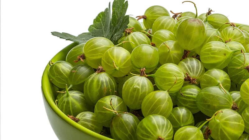 Amla-Bowl Amla-Bowl