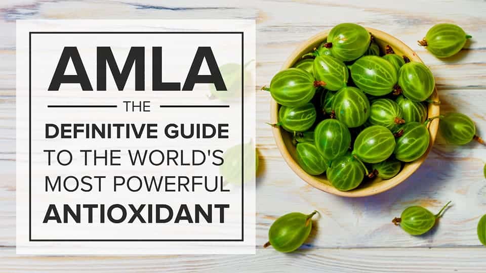 Amla A Guide to the World’s Most Powerful Antioxidant