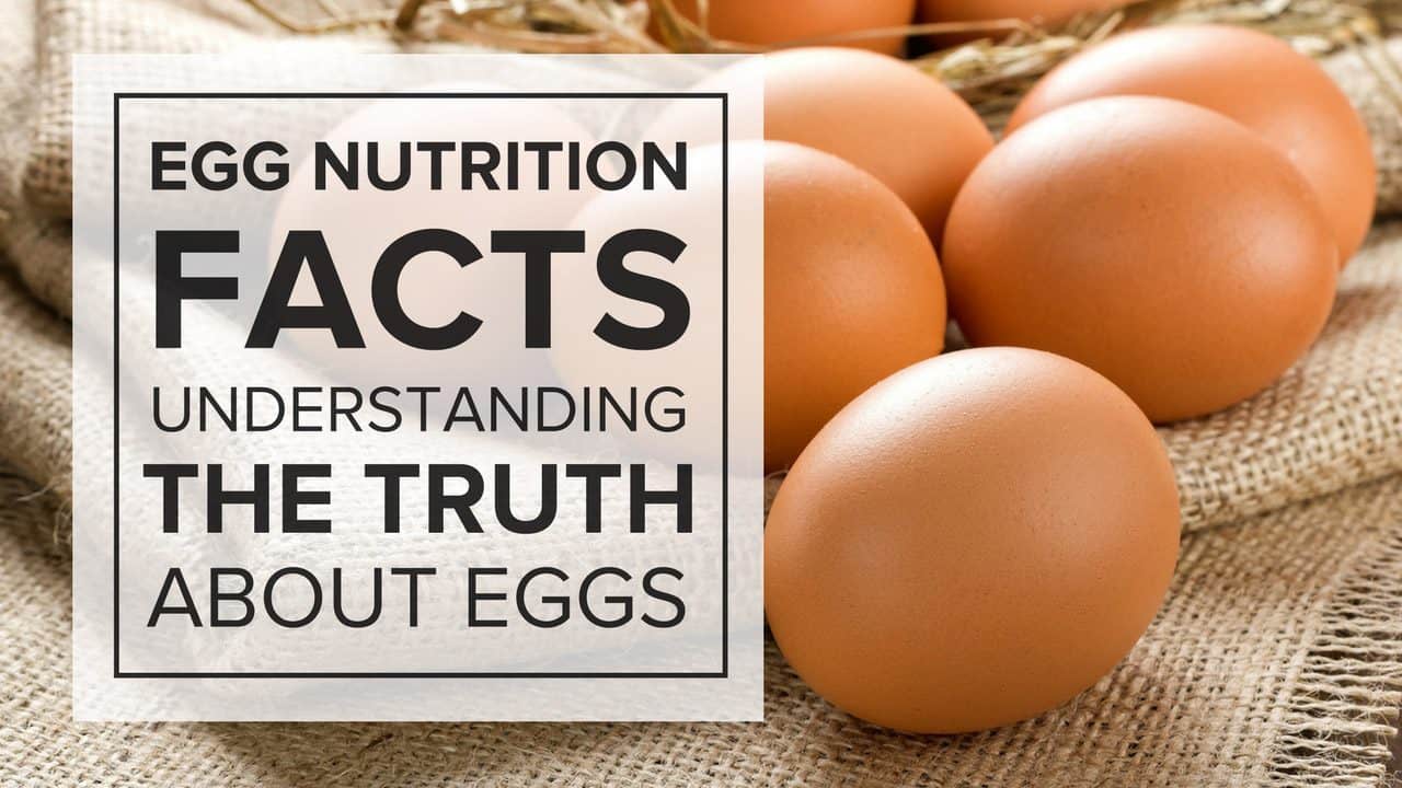 Egg Nutrition Facts Understanding the Truth About Eggs