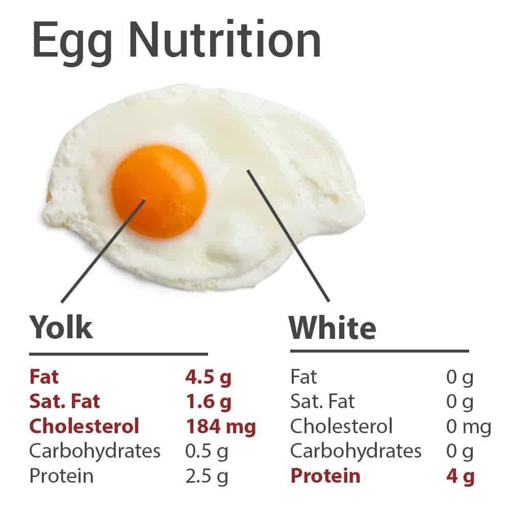 Egg Protein Chart