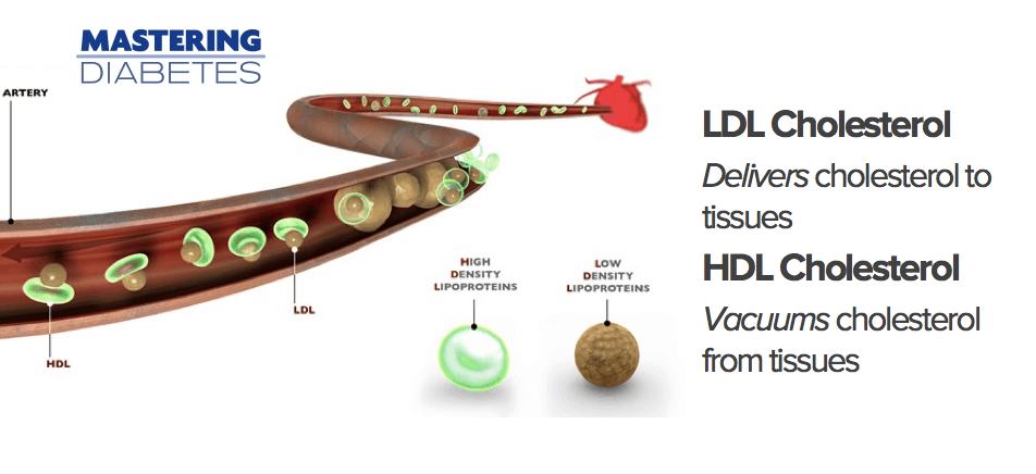 LDL Cholesterol HDL Cholesterol