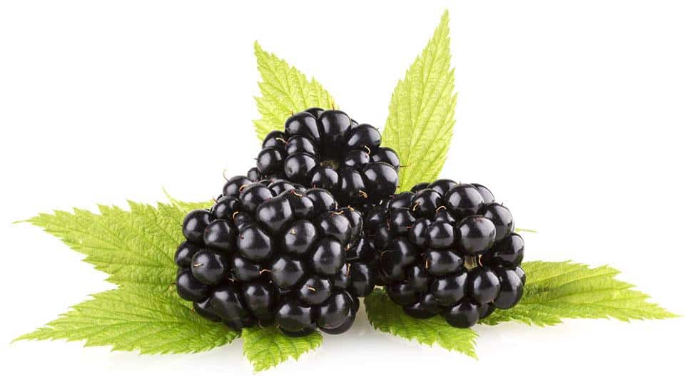 blackberries