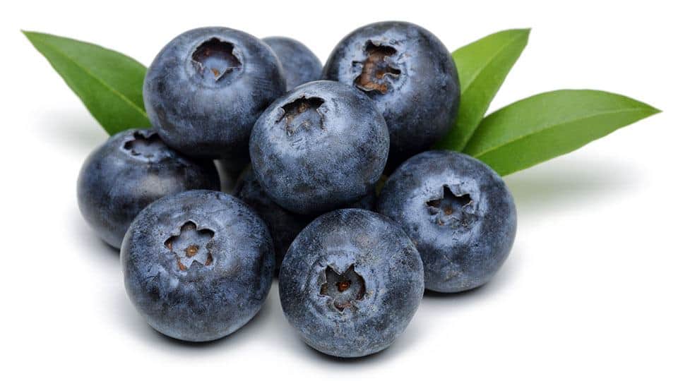 Blueberries-Optimized blueberries