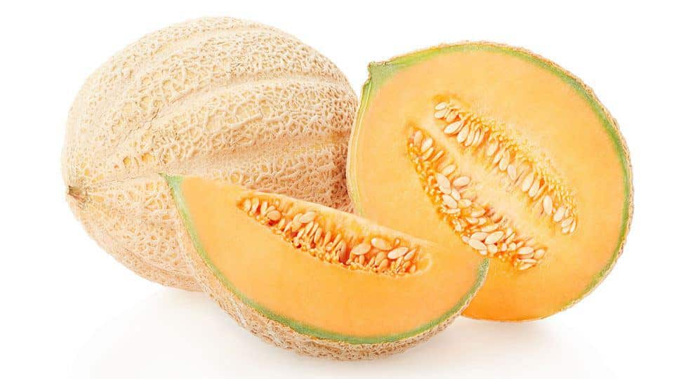 Cantaloupe melon