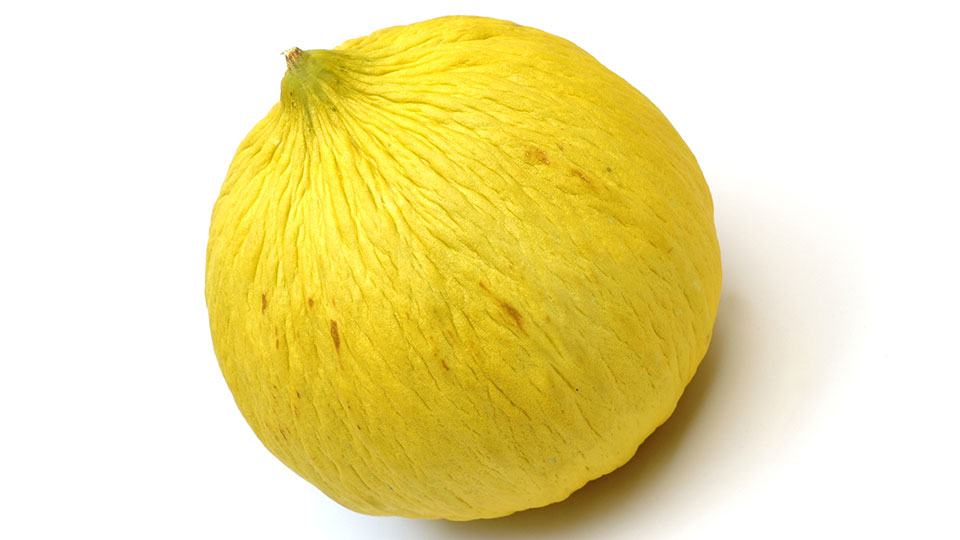 casaba melon