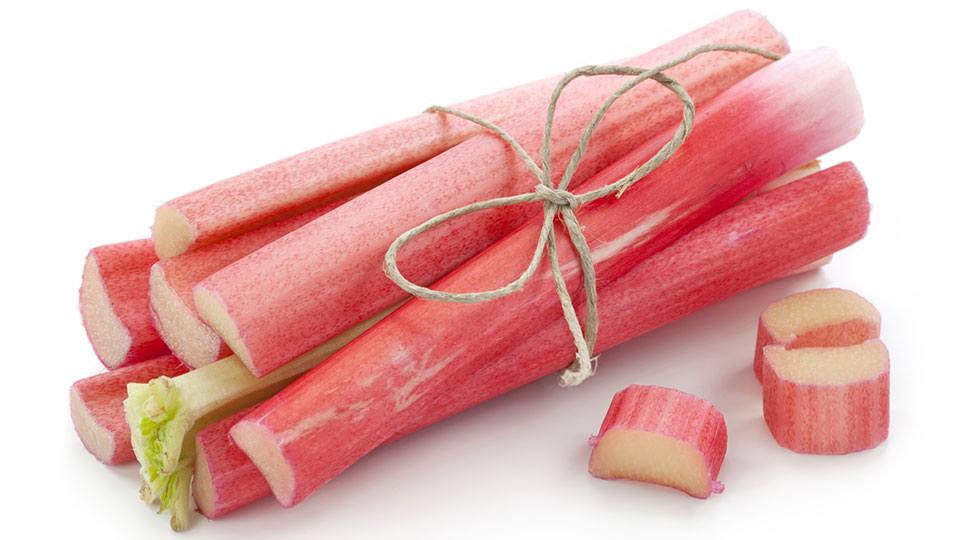 Rhubarb