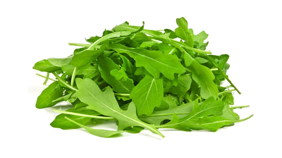 Arugula