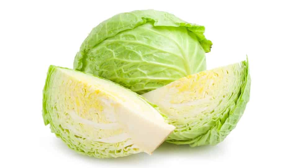 Cabbage