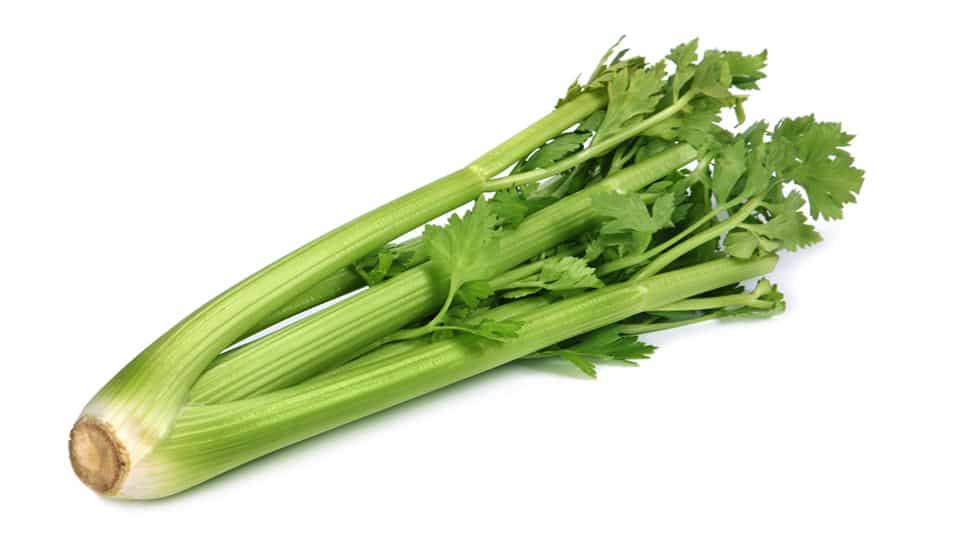 Celery