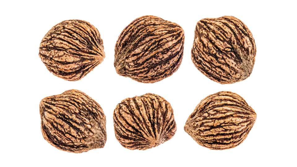 Dried black walnuts