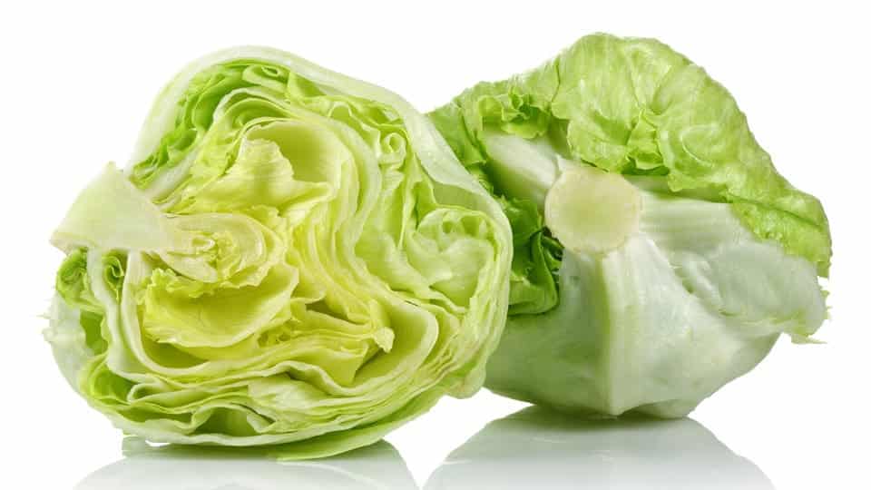 Lettuce_ iceberg