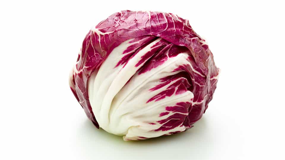 Radicchio