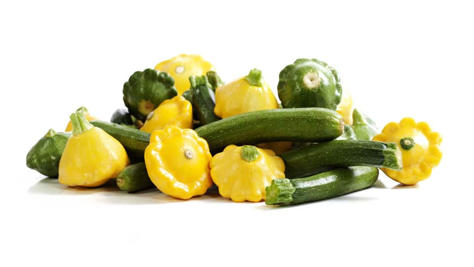 Summer Squash