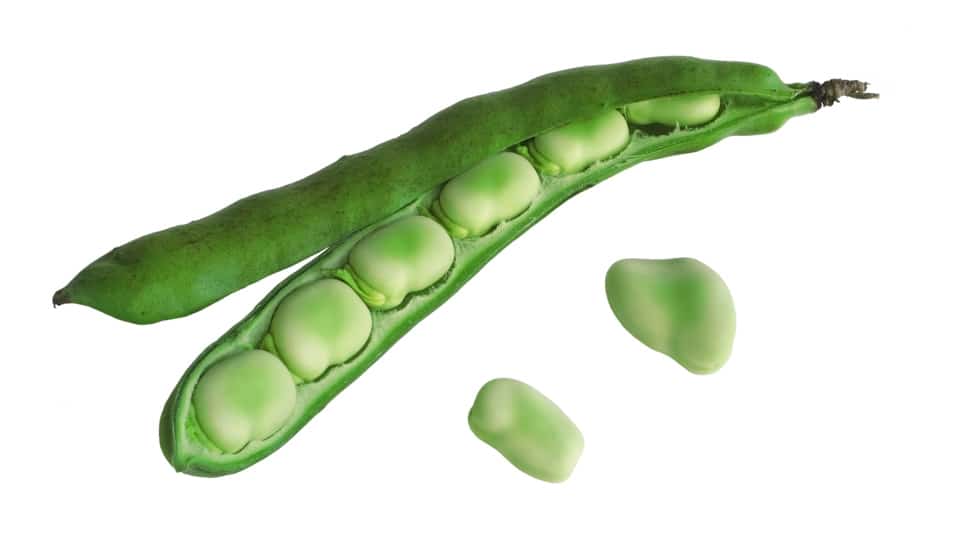 broadbeans