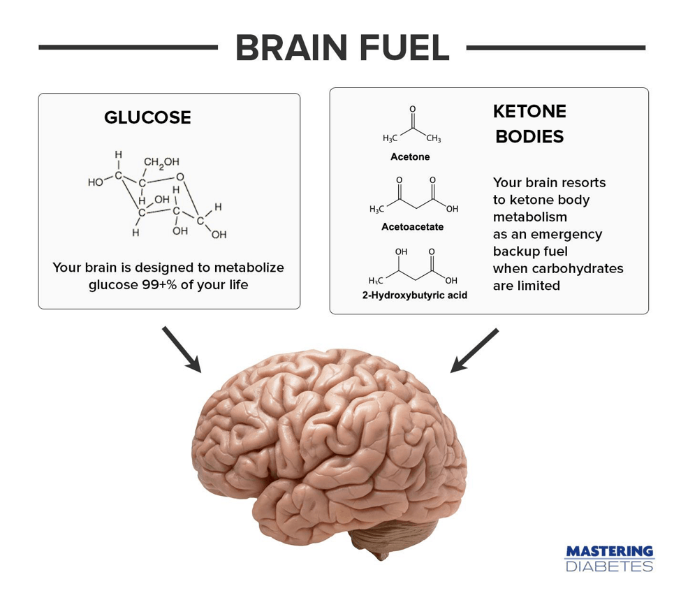 brain fuel - What are Ketones: Your Brain’s Best Friend or Worst Enemy?