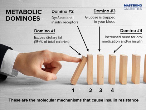 ketosis metabolic dominoes - Ketosis and the Ketogenic Diet: Debunking 7 Misleading Statements