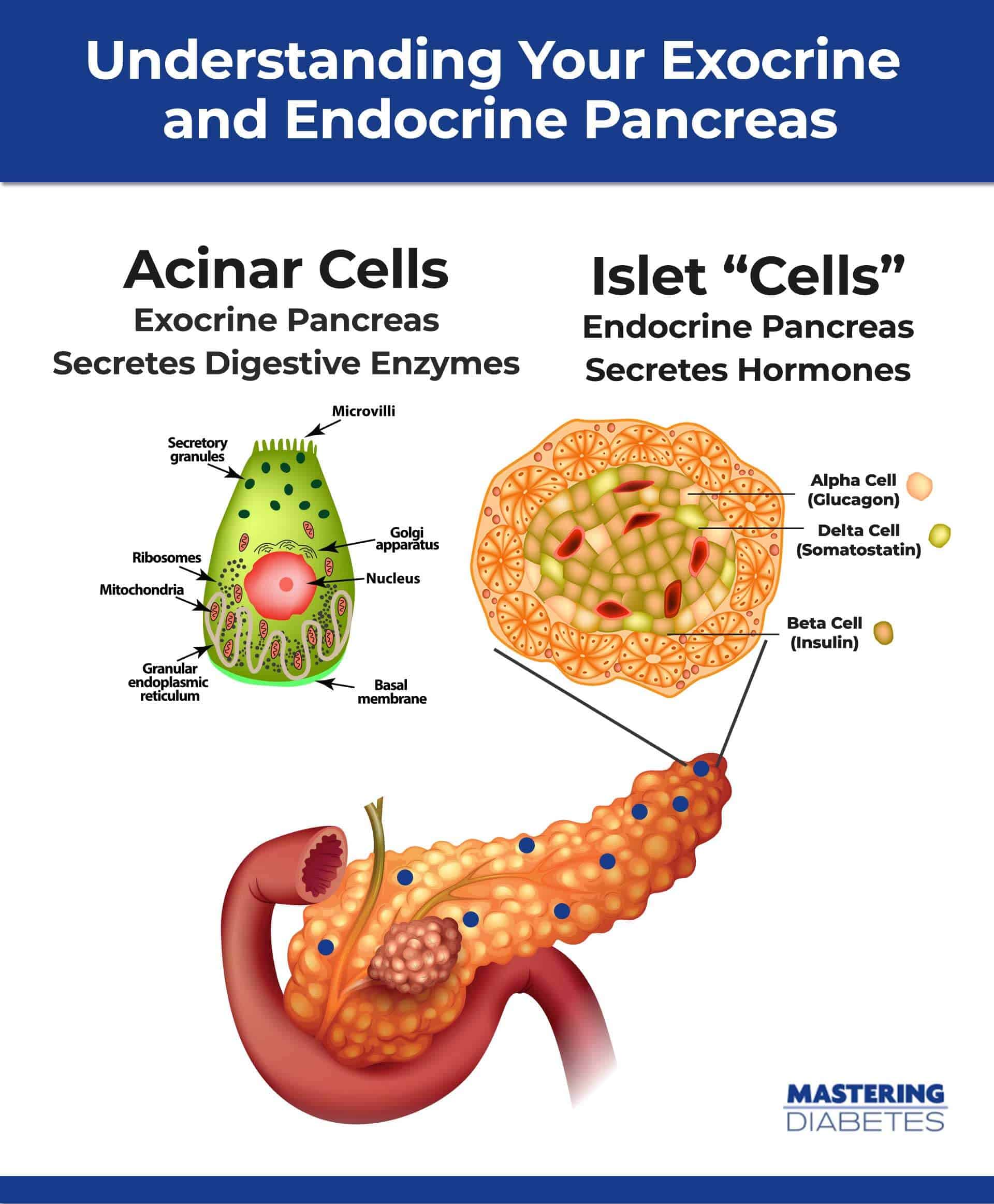 Insulin Resistance Food Chart