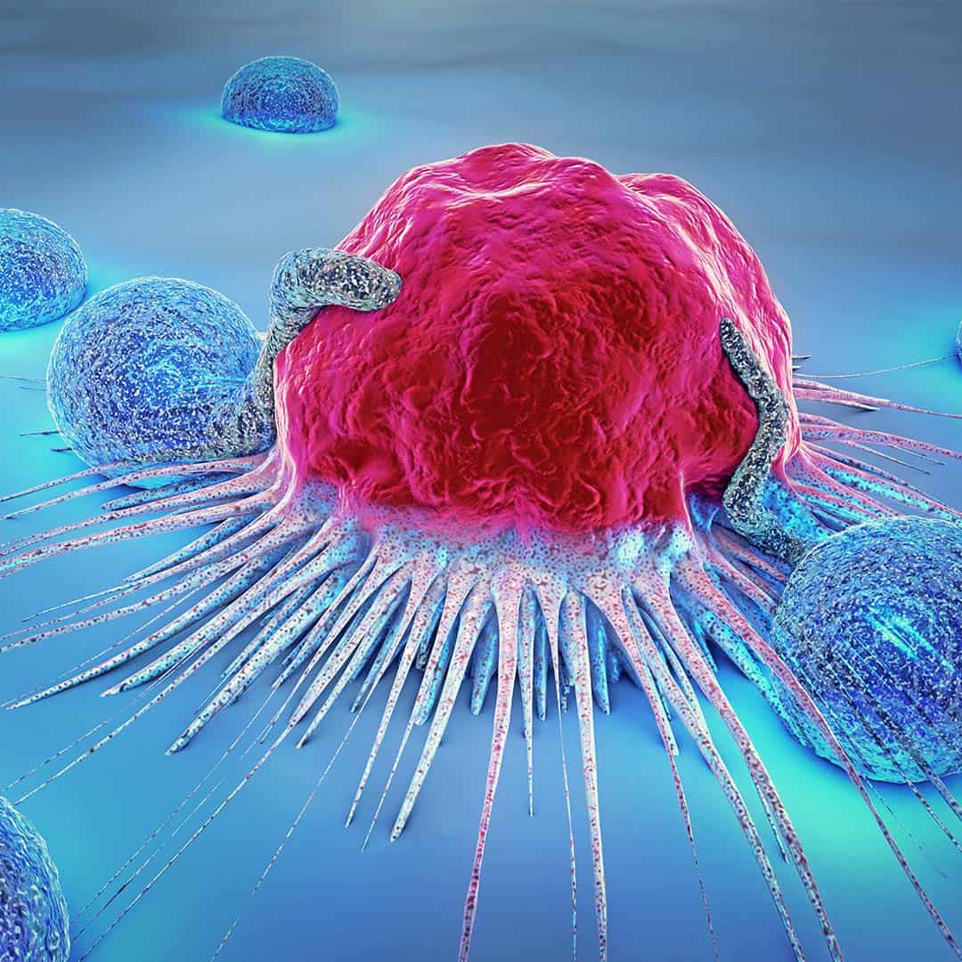 Cancer-Cell Cancer-Cell