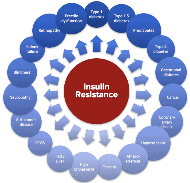 Insulin Resistance Chronic Disease 2