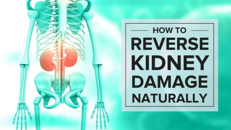 Reversing Kidney Damage Naturally