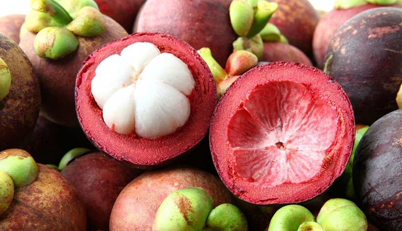 Mangosteen-02