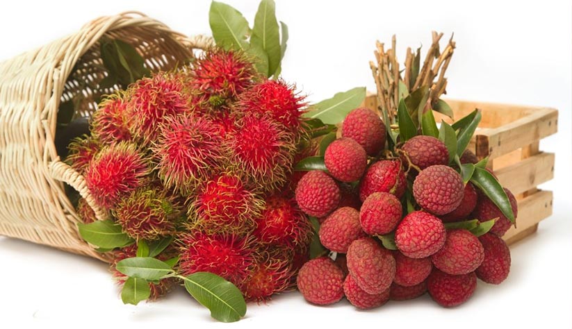 Rambutan-and-Lychee-02
