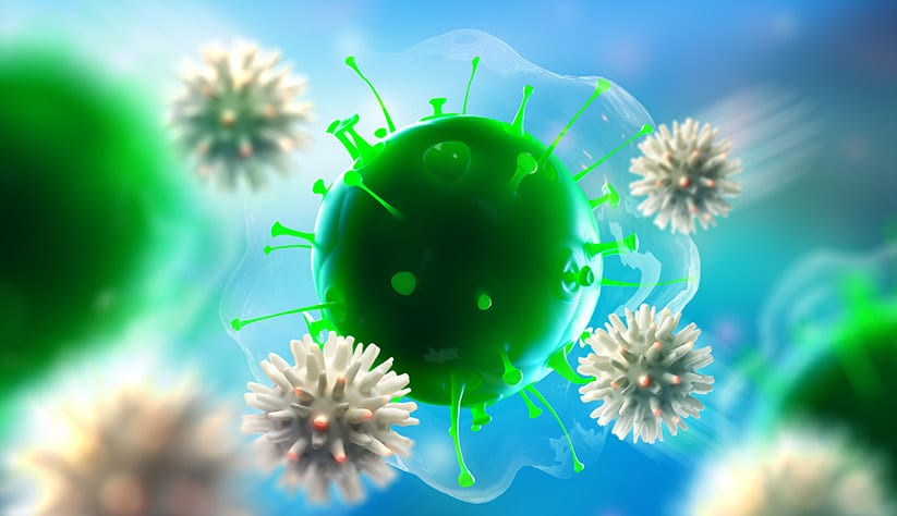 Immune-System 01