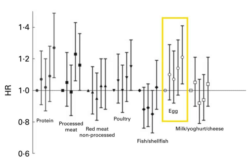 Are Eggs Good For You? The HardBoiled Truth Mastering Diabetes
