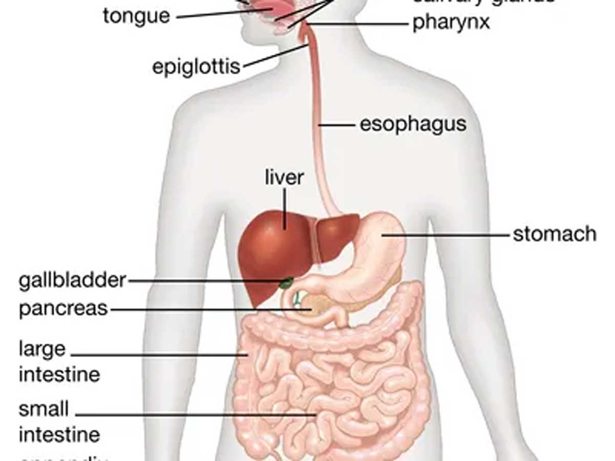 image5