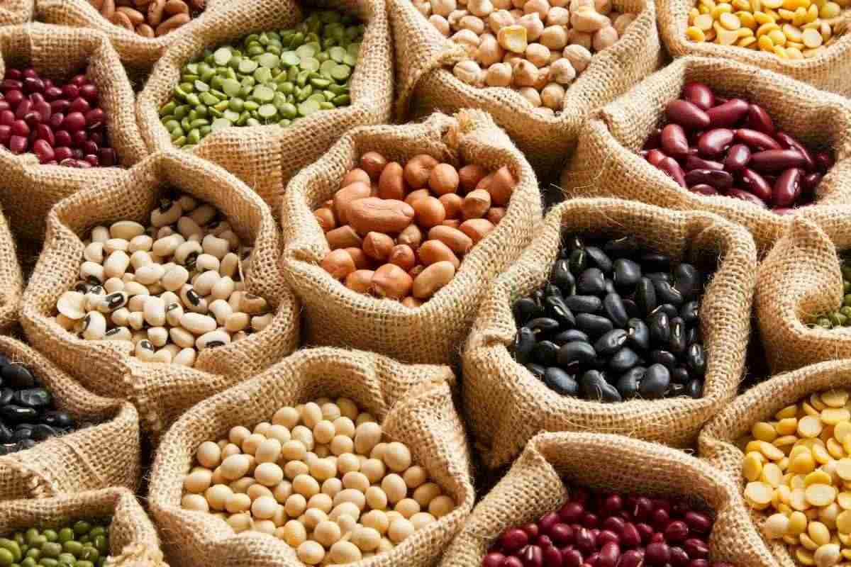 Low Fat Diet Legumes
