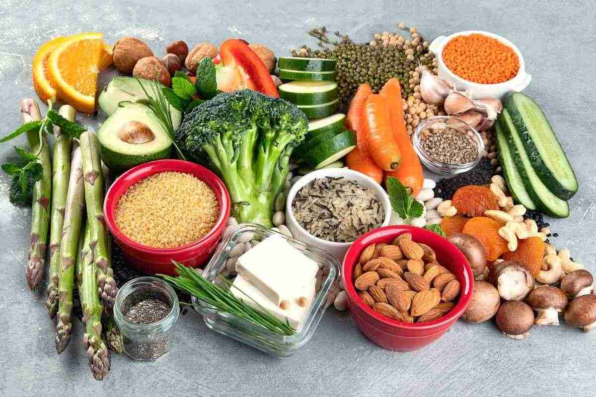 Plant Based Protein