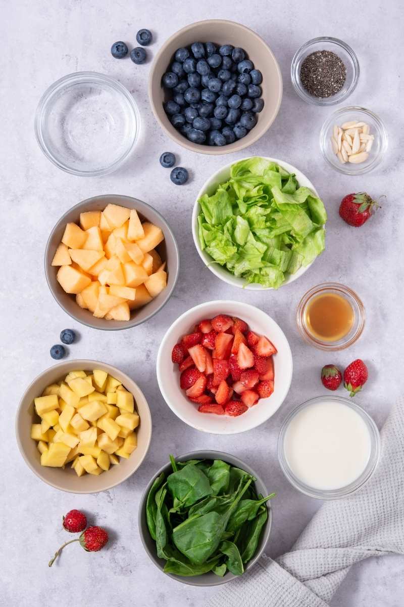 Mango Melon Berry Chia Pudding Ingredients