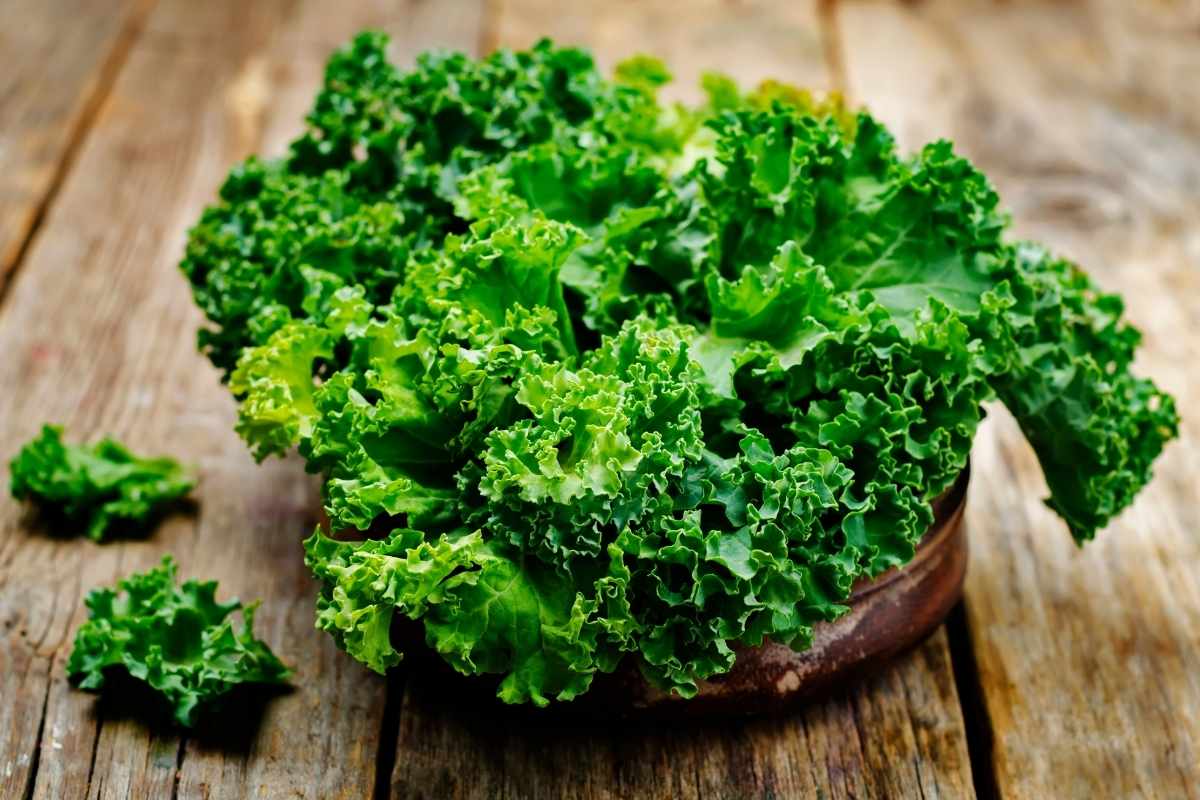 Kale Leafy Greens