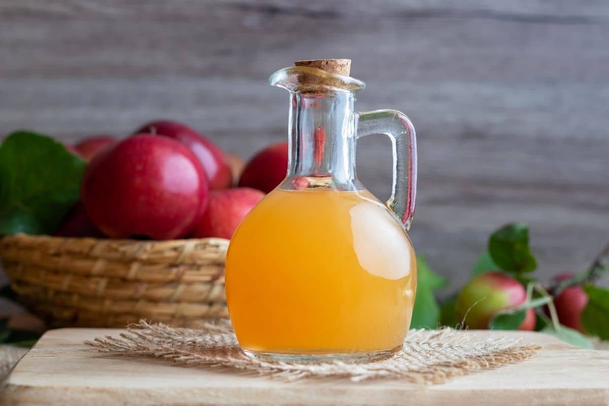 Bottle of Apple Cider Vinegar
