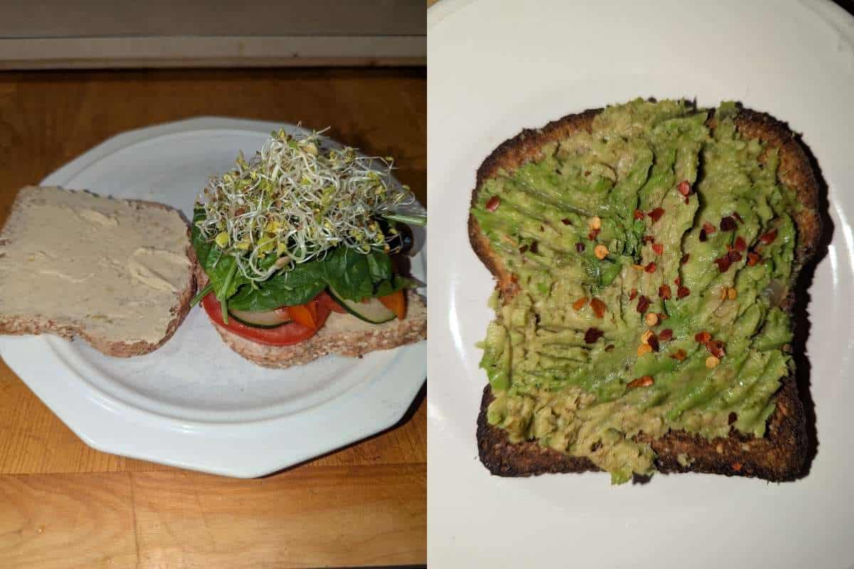 Steve Low Fat Plant Based Toast