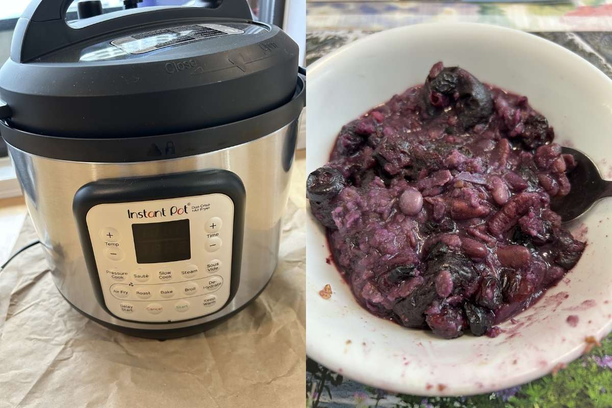 Lister Instant Pot Meals