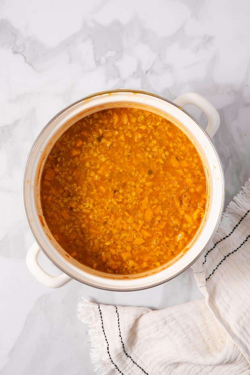 Spiced Carrot Red Lentil Stew Blend