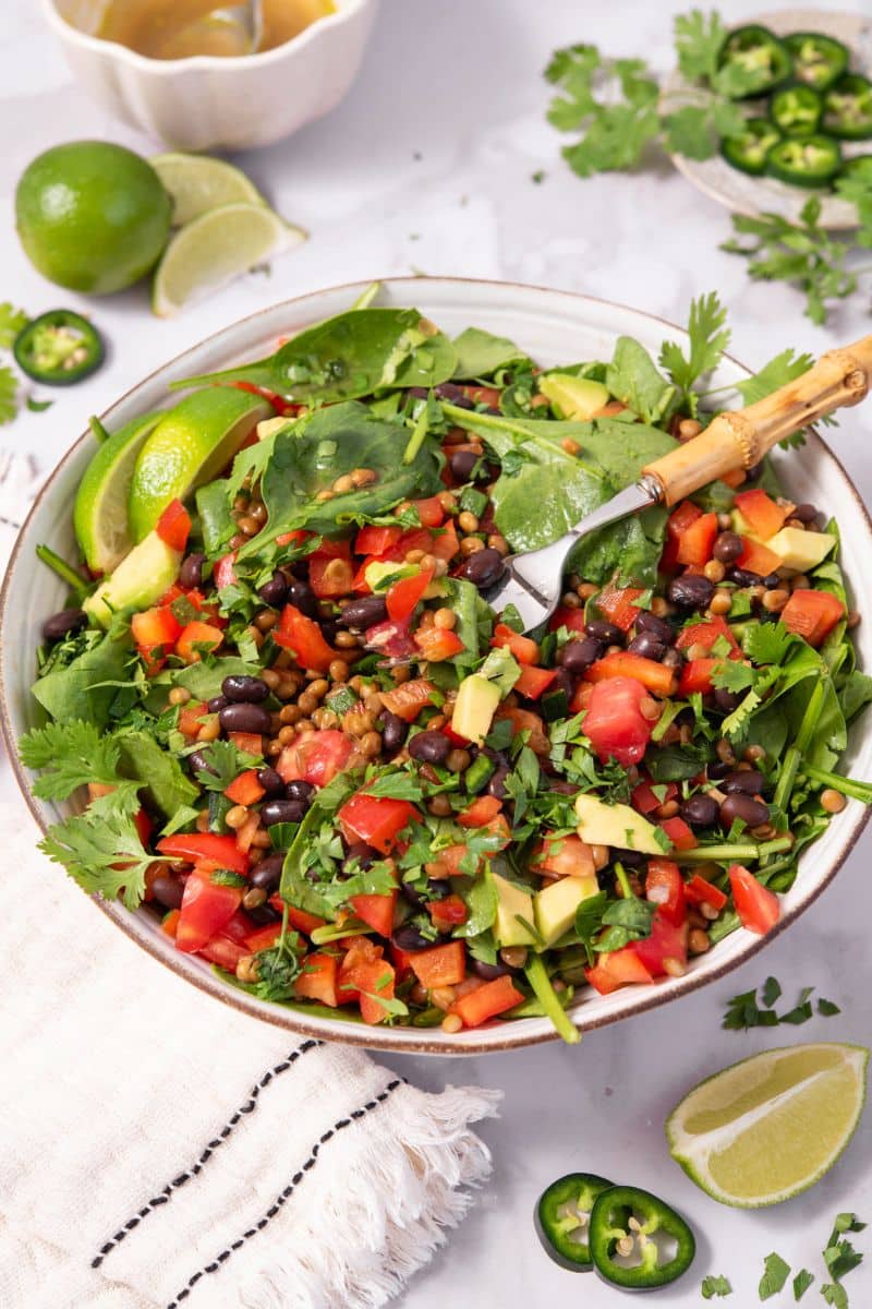 Spicy Black Bean & Lentil Salad Featured