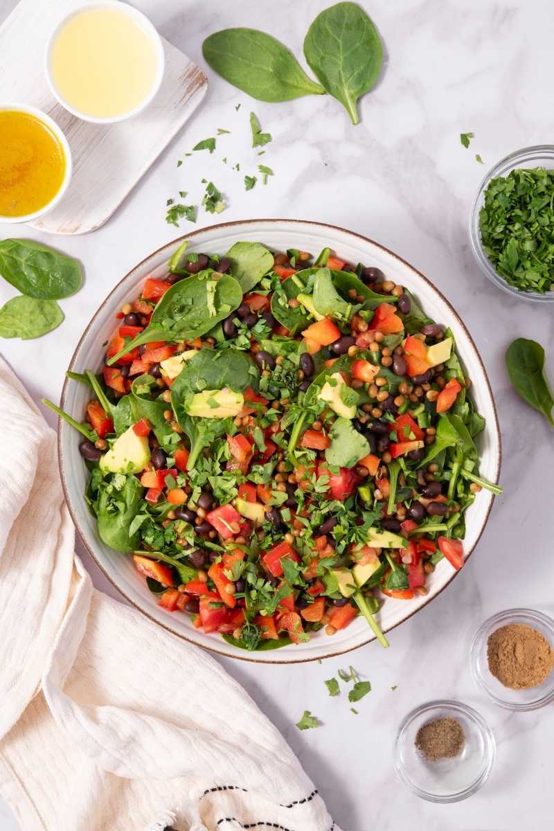 Spicy Black Bean & Lentil Salad Mix