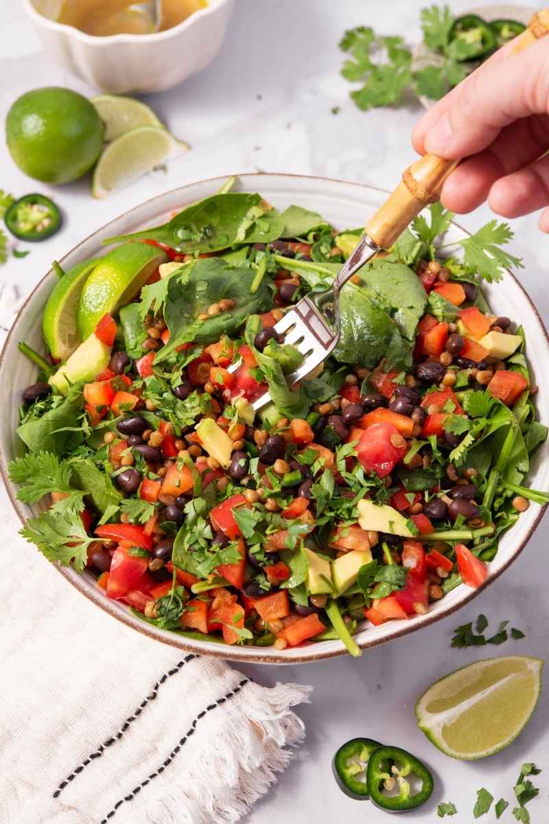 Spicy Black Bean & Lentil Salad Serving