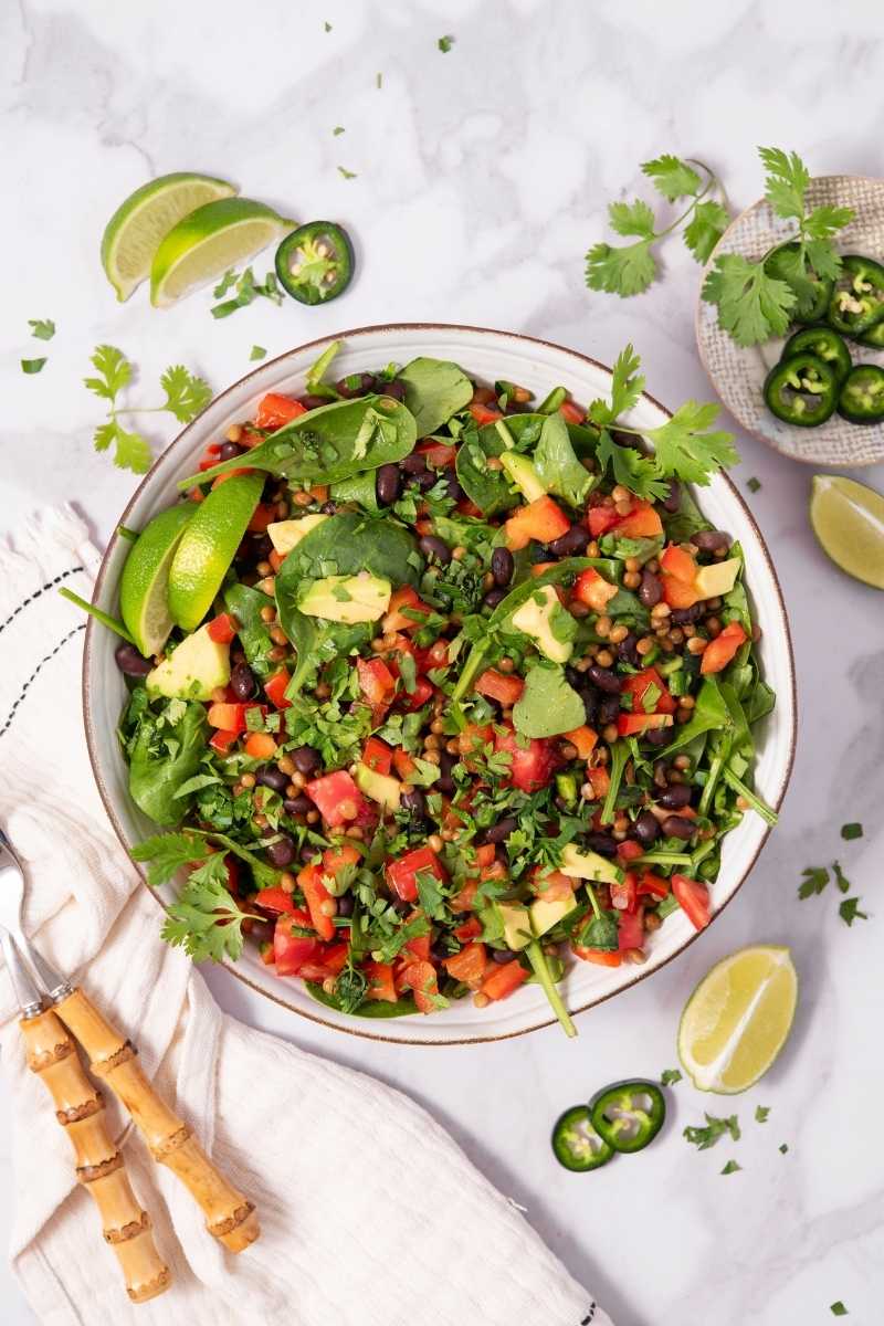 Spicy Black Bean & Lentil Salad
