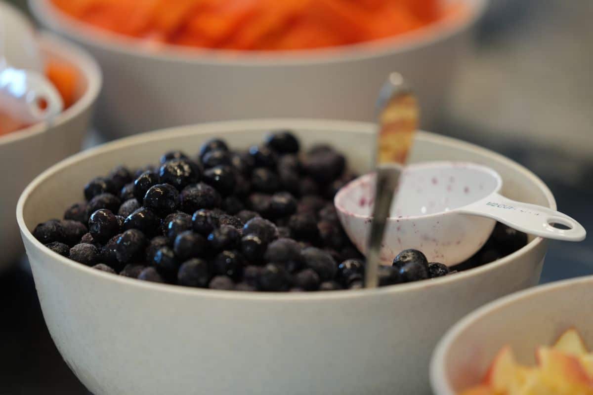 Fresh Blueberries at the Retreat